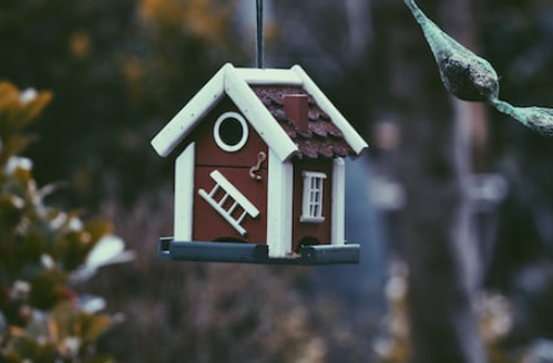 保费再提6.9%！房主注意 或成全美最高州之一