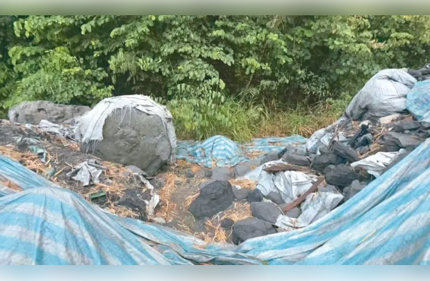 马头山废弃物未清 高市府无作为…环团盼陈其迈震怒