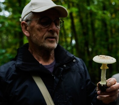 采菌子成德国生活新风尚，黑森林山脉、阿尔卑斯山成为热门打卡地