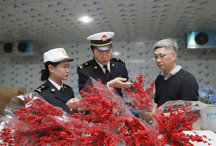 从云南到澳门：鲜花12小时的“保鲜”旅程（图）