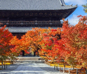 日本连续两年获评“最受欢迎度假国家”!温泉、传统文化和地方旅游成亮点
