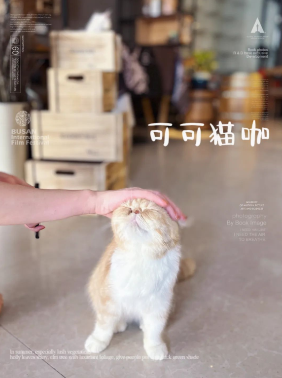 1664507285116046.png blob.png