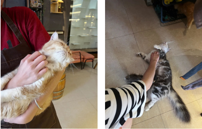 1664507292944130.png blob.png