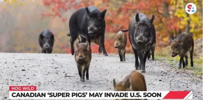 1701855453207799.png blob.png