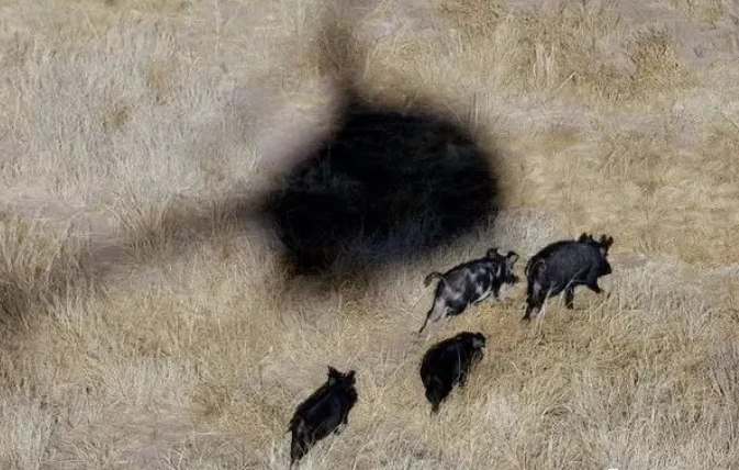 1701855674869534.png blob.png