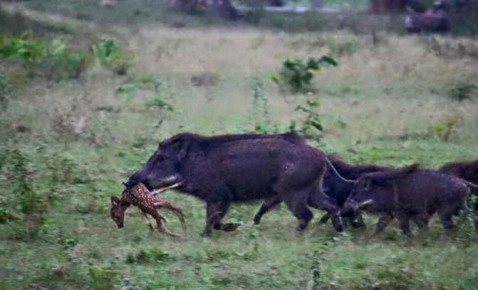 1701855684925128.png blob.png