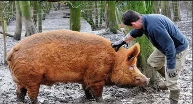 1701855695547468.png blob.png