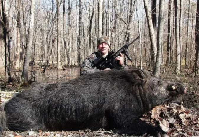 1701855710230579.png blob.png