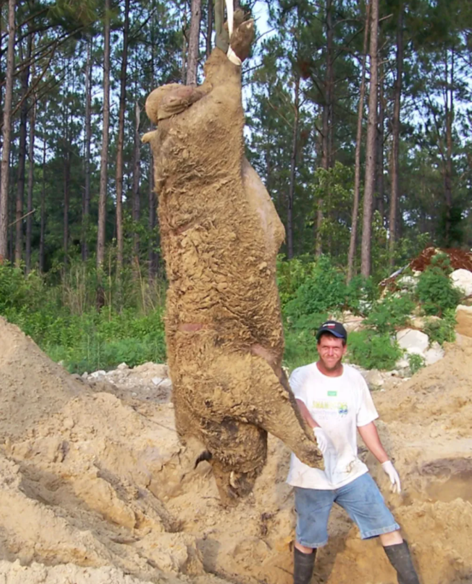 1701855725695293.png blob.png